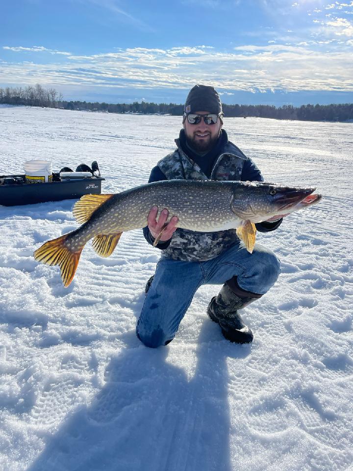 Big Northern